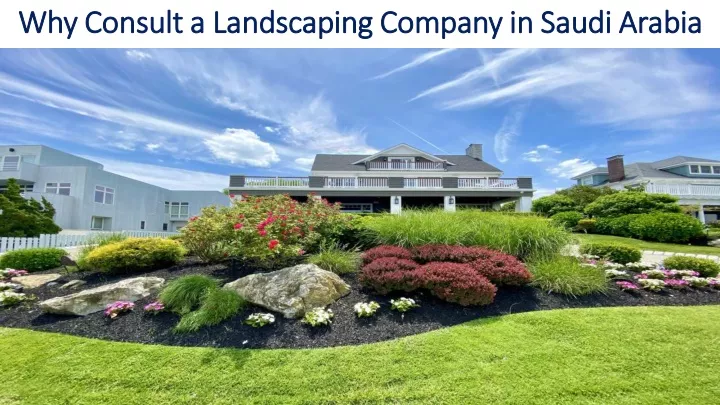 why consult a landscaping company in saudi arabia