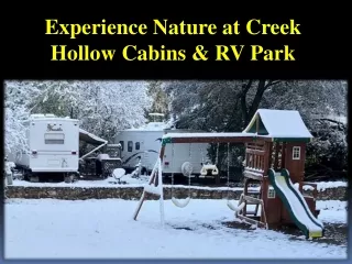 Experience Nature at Creek Hollow Cabins & RV Park