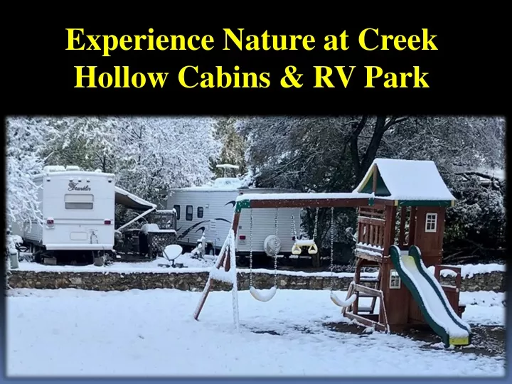 experience nature at creek hollow cabins rv park