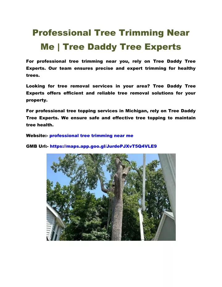 professional tree trimming near me tree daddy