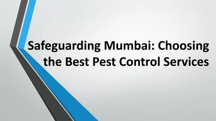 safeguarding mumbai choosing the best pest control services