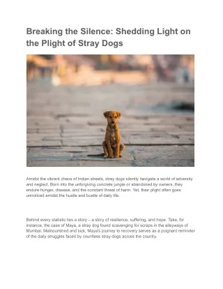 Breaking the Silence_ Shedding Light on the Plight of Stray Dogs