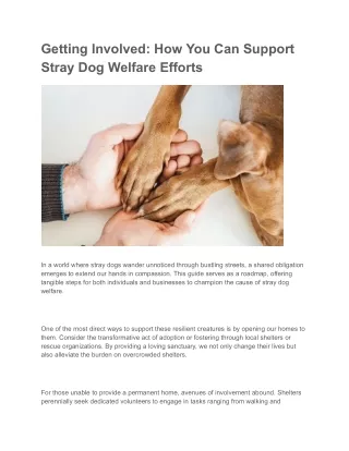Getting Involved_ How You Can Support Stray Dog Welfare Efforts