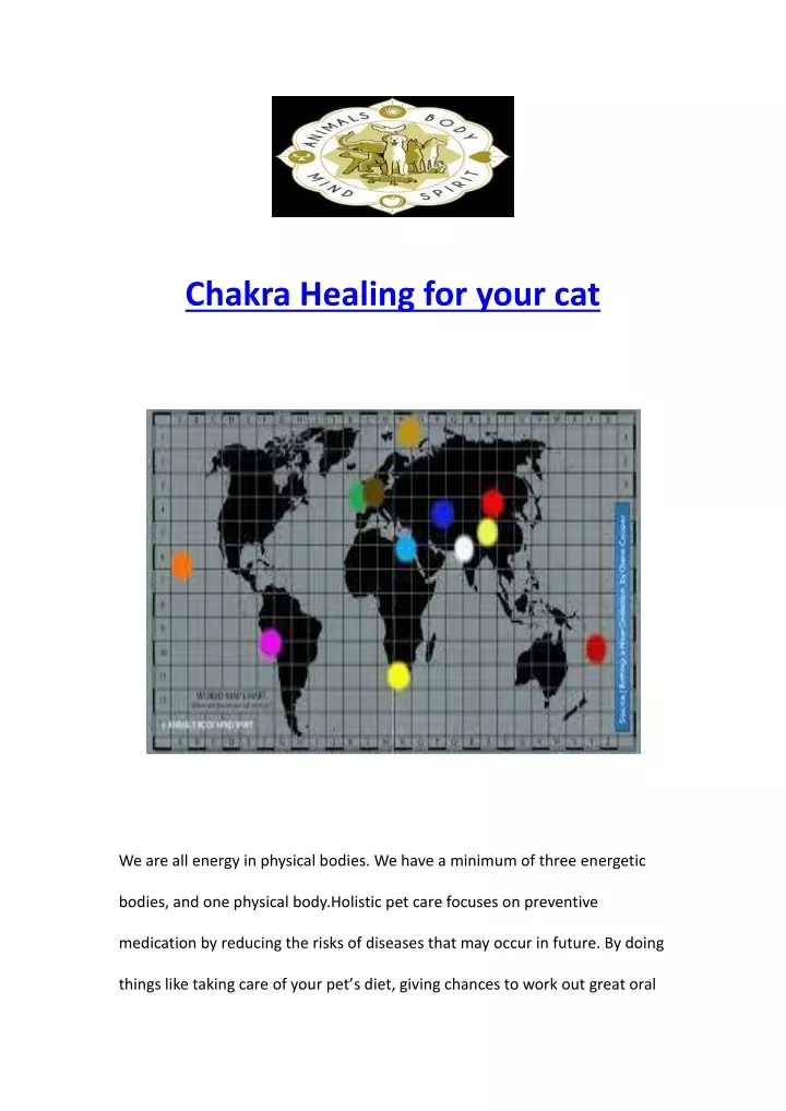 chakra healing for your cat
