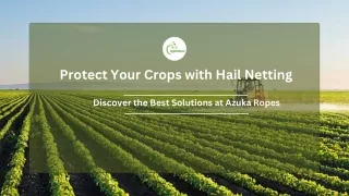 Protect Your Crops with Hail Netting: Discover the Best Solutions at Azuka Ropes