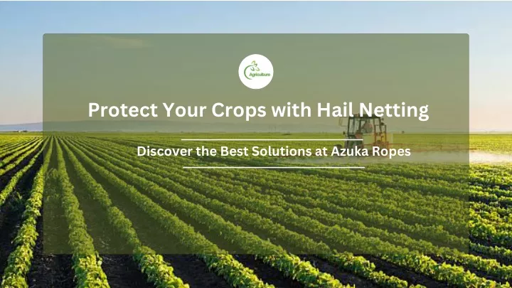 protect your crops with hail netting