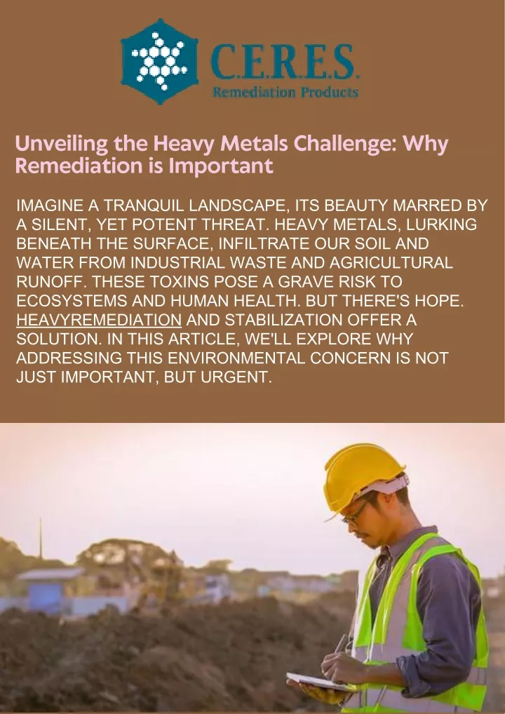 unveiling the heavy metals challenge