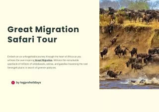 Nature's Greatest Show: The Ultimate Great Migration Safari Tour