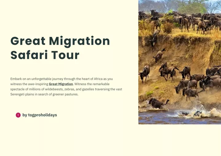 great migration safari tour