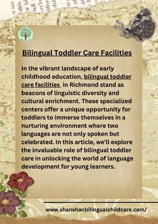 Unlocking Potential : Bilingual Toddler Care Facilities