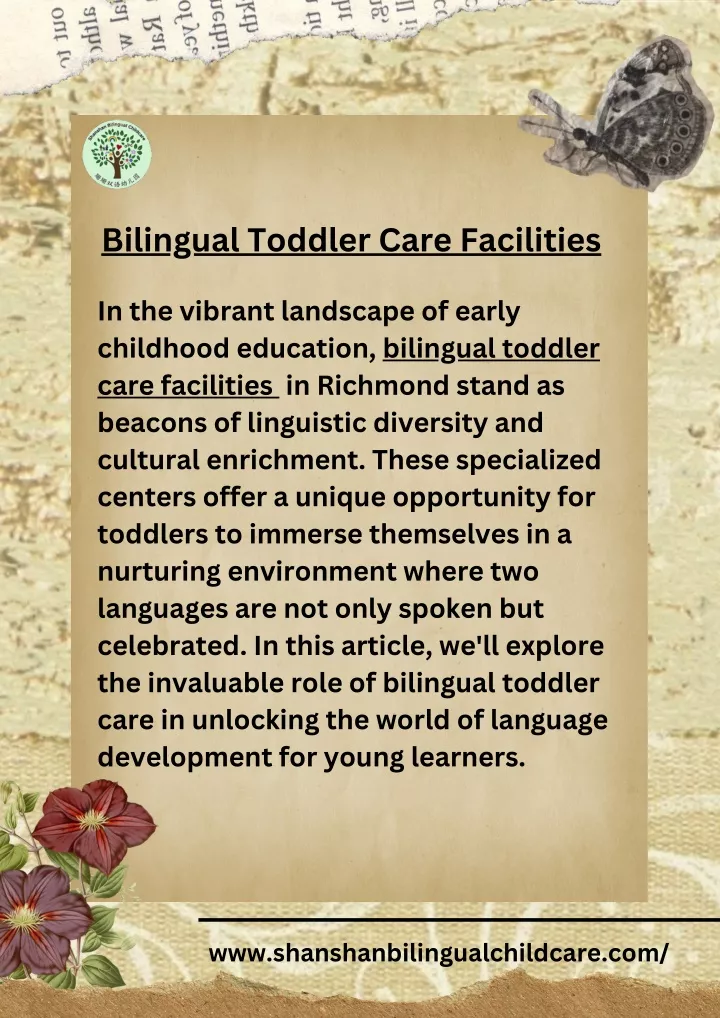 bilingual toddler care facilities