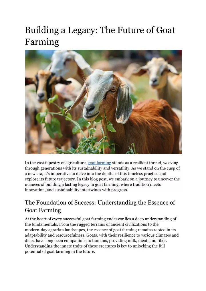 building a legacy the future of goat farming