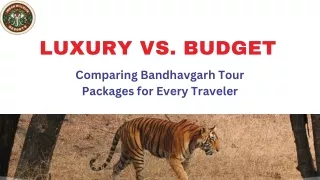 Comparing Bandhavgarh Tour Packages for Every Traveler