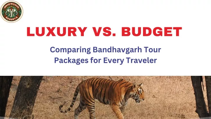 luxury vs budget
