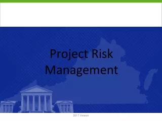 project risk management