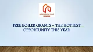 Free Boiler Grants – The Hottest Opportunity This Year