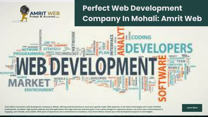 perfect web development company in mohali amrit