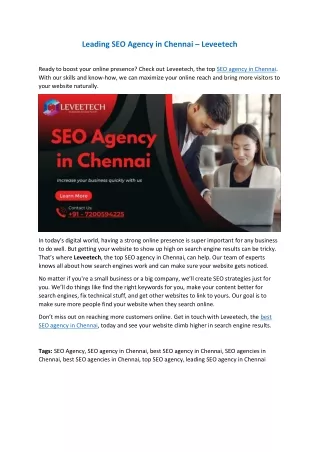 SEO Agency in Chennai - Leveetech
