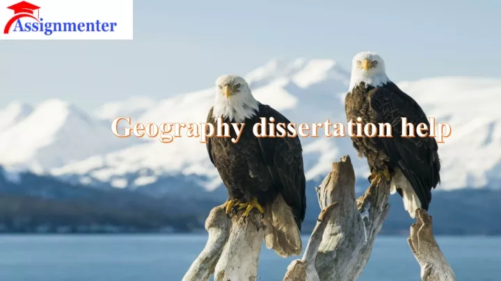 geography dissertation help