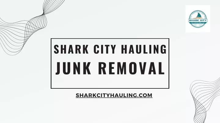 shark city hauling