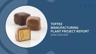 Report on Toffee  Manufacturing Plant Detailing Business Plan, Cost Analysis an