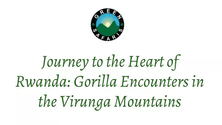 journey to the heart of rwanda gorilla encounters