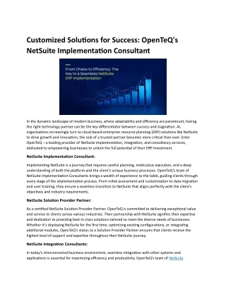 Customized Solutions for Success: OpenTeQ's NetSuite Implementation Consultant