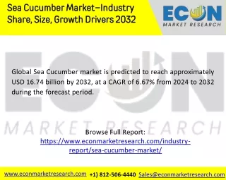 sea cucumber market industry share size growth