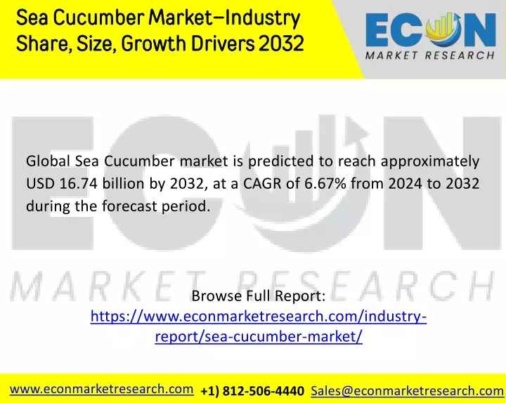 sea cucumber market industry share size growth