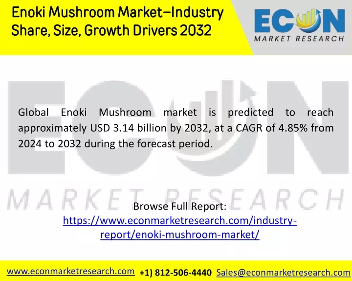 enoki mushroom market industry share size growth