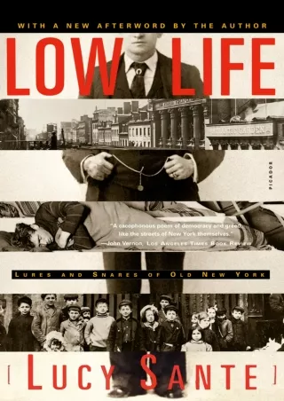 [PDF⚡READ❤ONLINE]  Low Life: Lures and Snares of Old New York