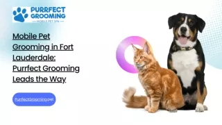Mobile Pet Grooming in Fort Lauderdale: Purrfect Grooming Leads the Way