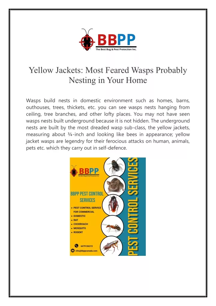 yellow jackets most feared wasps probably nesting