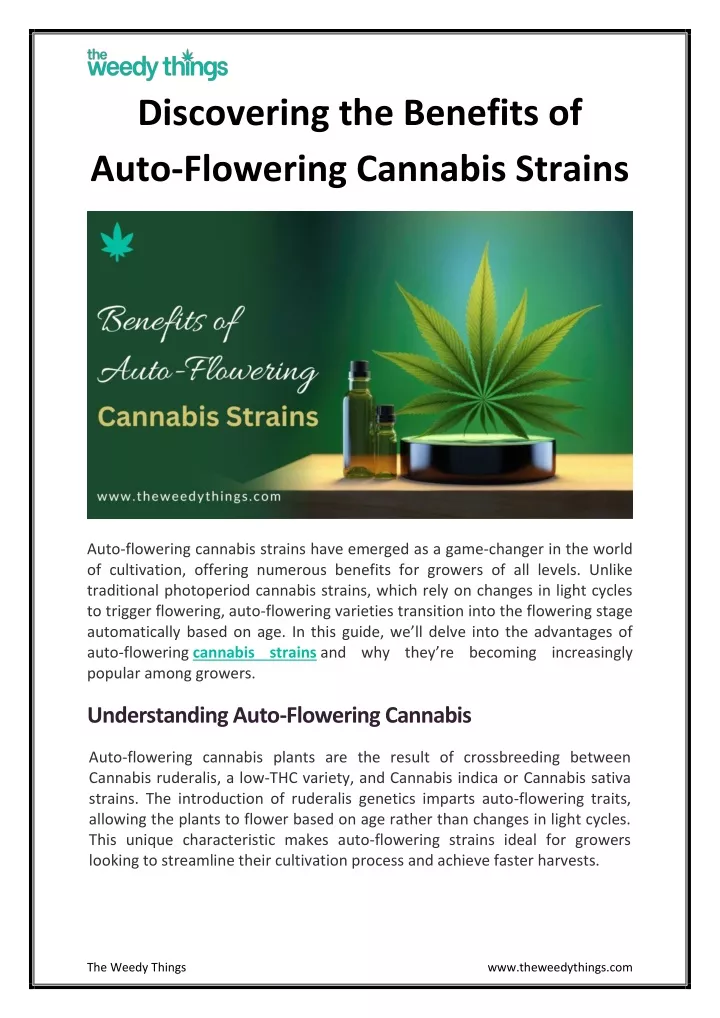 discovering the benefits of auto flowering