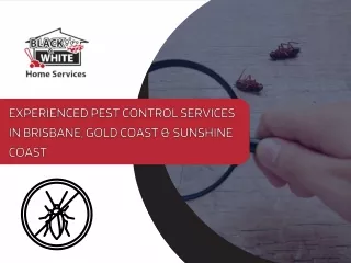 EXPERIENCED PEST CONTROL SERVICES IN BRISBANE, GOLD COAST & SUNSHINE COAST