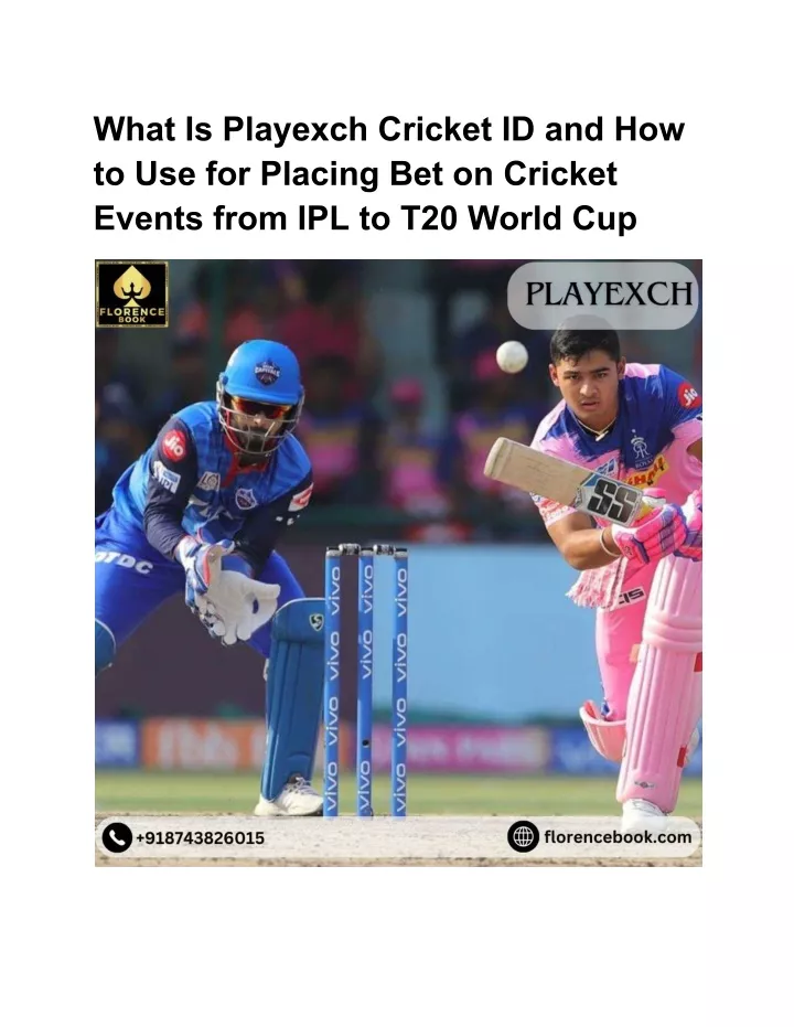 what is playexch cricket