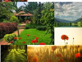 Stream Edge Homestay Sakleshpur