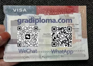 fake USA VISA Sticker maker, How to get USA VISA online?
