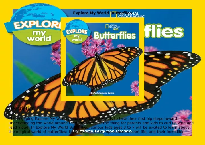 explore my world butterflies