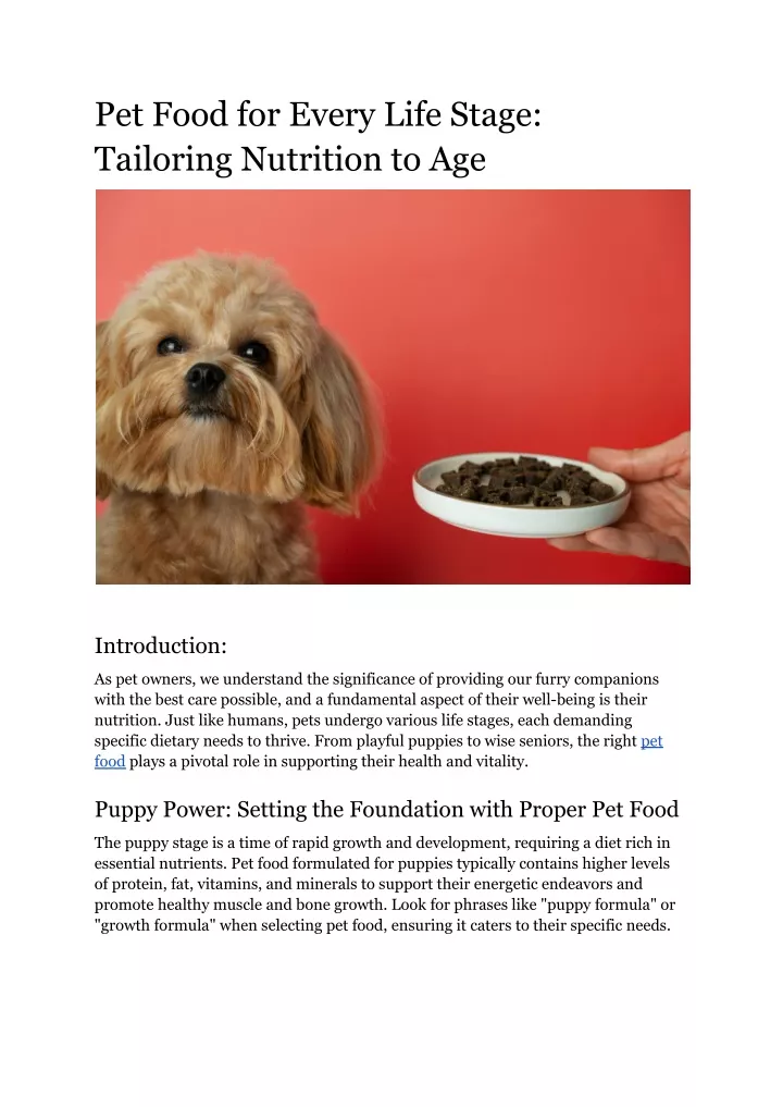 pet food for every life stage tailoring nutrition