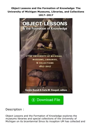 ✔️READ ❤️Online Object Lessons and the Formation of Knowledge: The University