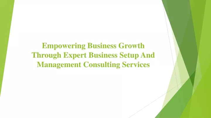 empowering business growth through expert business setup and management consulting services