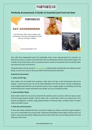 Perfectly Accessorized A Guide to Essential (and Fun) Cat Gear