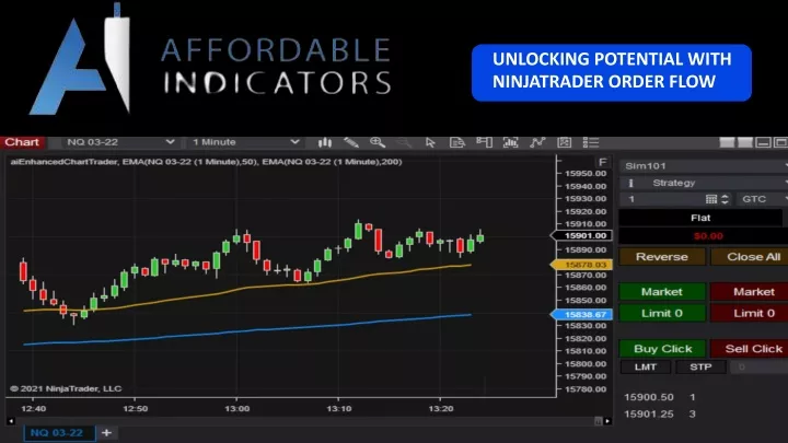 unlocking potential with ninjatrader order flow