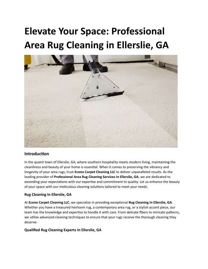 elevate your space professional area rug cleaning