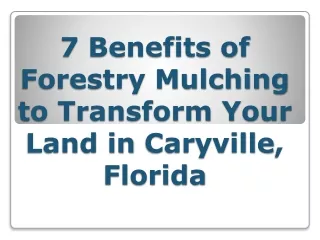 7 Benefits of Forestry Mulching to Transform Your Land in Caryville, Florida