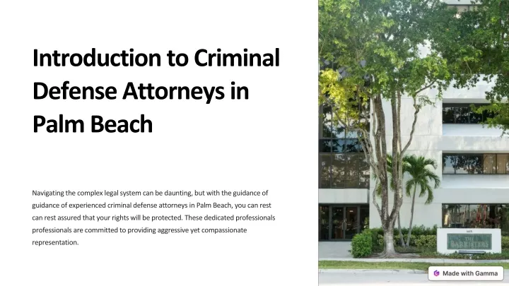 introduction to criminal defense attorneys