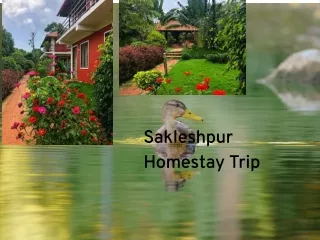 Plan an Unexpected Holiday Trip to Sakleshpur with Your Family