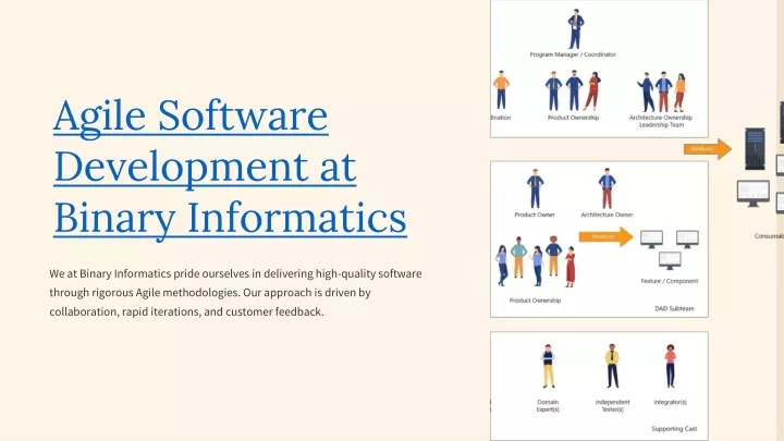 agile software development at binary informatics