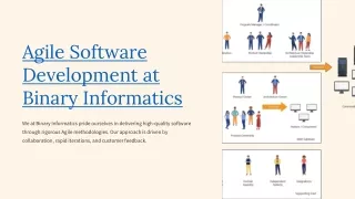 Agile-Software-Development-at-Binary-Informatics